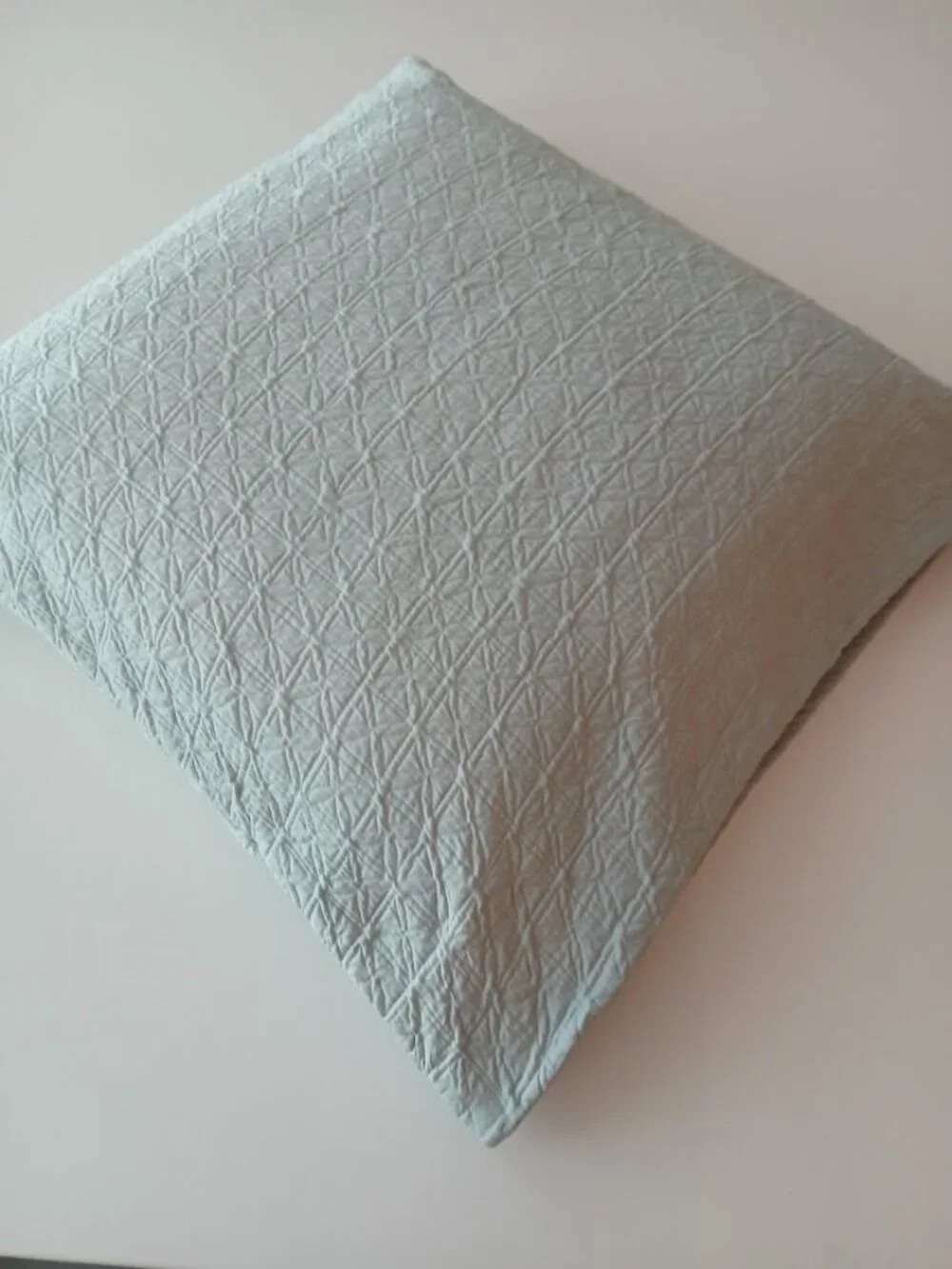 CALVIN KLEIN HOME Mint 100% Cotton Euro Sham - large